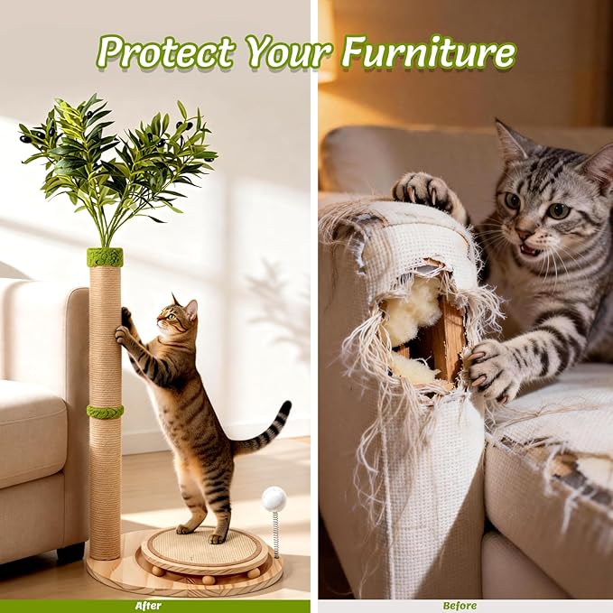 39" Tall Cat Scratching Post, Cute Olive Cat Scratcher, Interactive Cat Toys with Ball Track & Spring Ball, Sturdy Cat Scratch Post with Pad for Indoor Cats Adults and Kittens