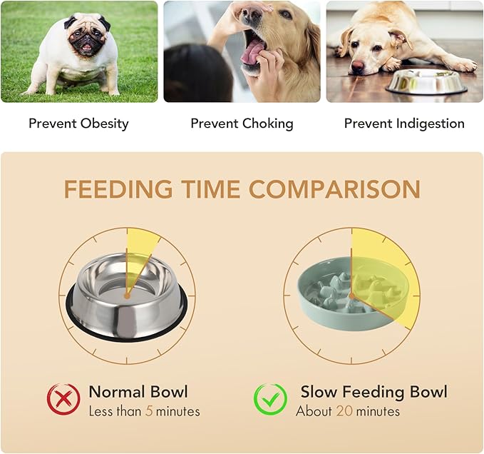 Ceramic Raised Slow Feeder Dog Bowl Set, Elevated 7.3inch Bowl and 8.2inch Slow Pet Food Dish with Wooden Stand for Medium and Large Dog (2 x Light Green+ Stand)