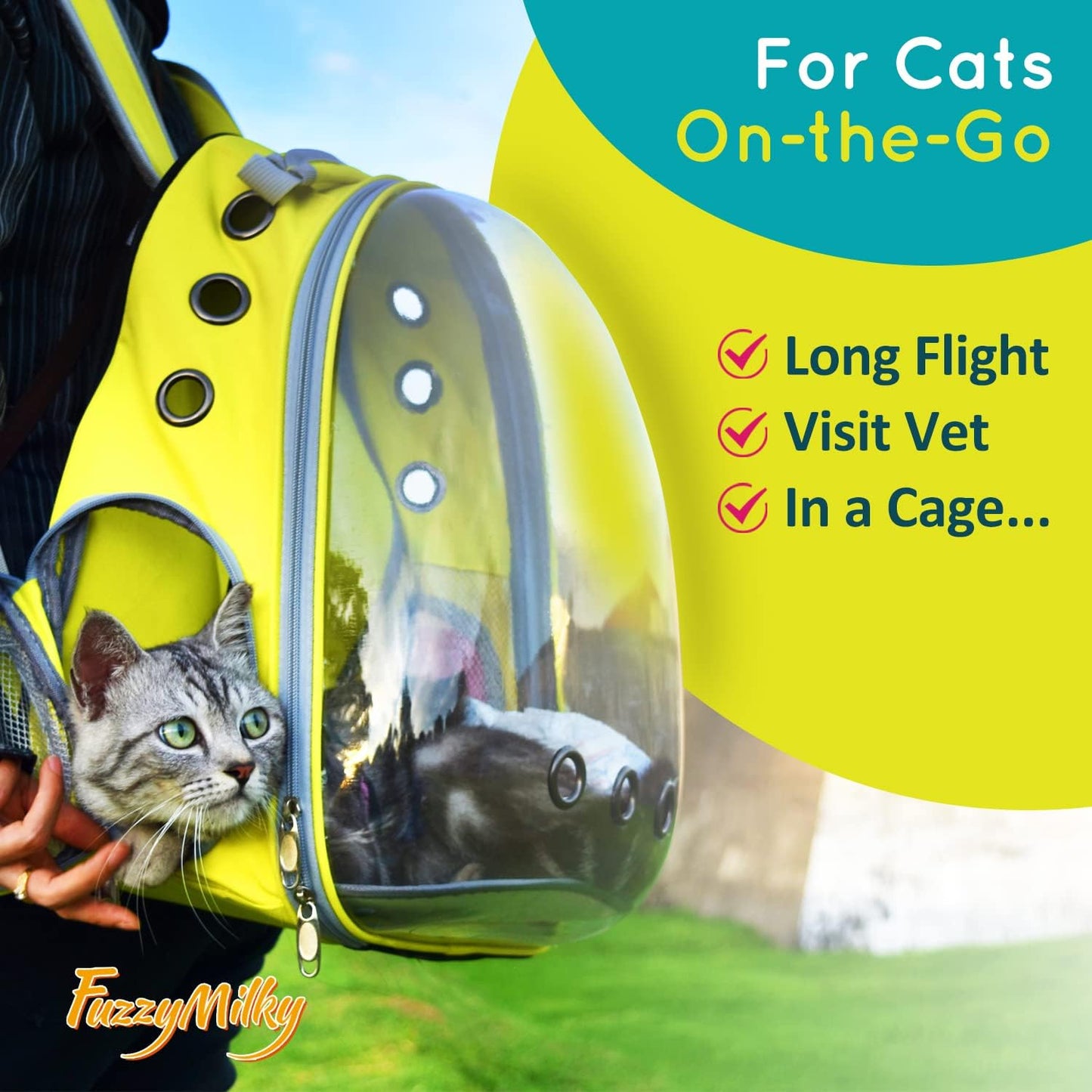 FetchMart Calming Collar for Cats — Pheromone Anxiety Relief | 4-Pack, 4 Weeks Each