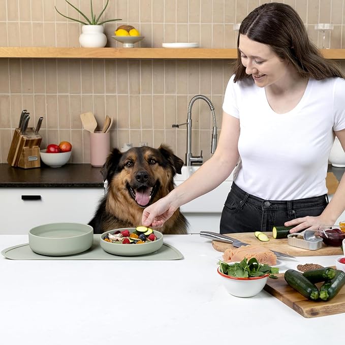 Should We Go? Complete Pet Feeding Set: Slow Feeder & Water Bowl with Spill-Proof Silicone Mat - Ideal for Small to Medium Dogs, Non-Slip, Easy Clean, Raised Edges, Durable Silicone - Charcoal