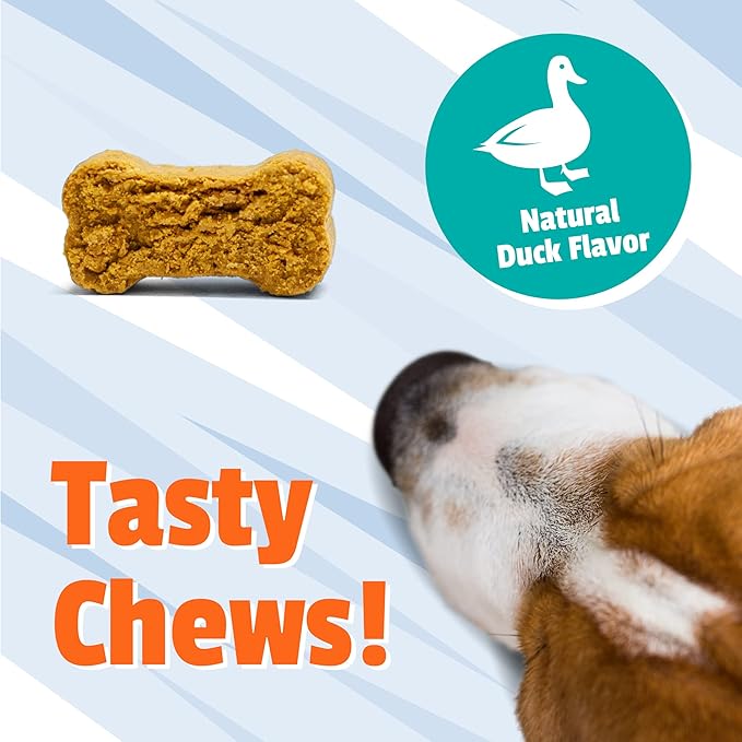 Pet Naturals Allergy Plus Calming for Dogs – 60 Ct Soft Chews, Seasonal Allergy & Stress Support with Quercetin, Salmon Oil, Probiotics & L-Theanine, Duck Flavor Supplement
