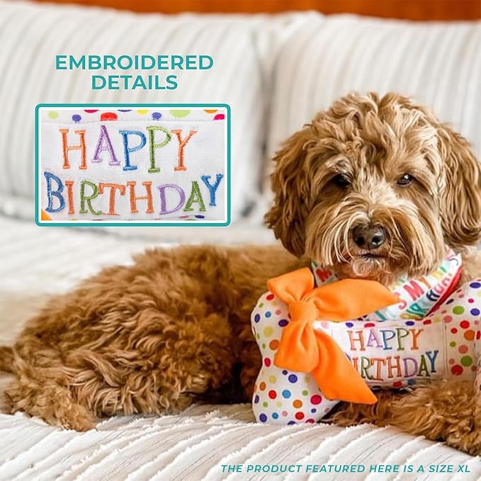 Haute Diggity Dog Happy Birthday Bone, Plush Designer Dog Toys with Interactive Squeaker, Stimulating Pet Enrichment, Machine-Washable & Safe Materials for All Breeds, Size XL