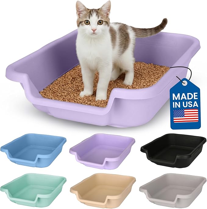 KittyGoHere Senior Cat Litter Box, Small Litter pan, Open Top Low Entrance Kitty Litter Box, Lightweight Low Entry Litters Box, Durable, Made in USA (Storybook Lavender)