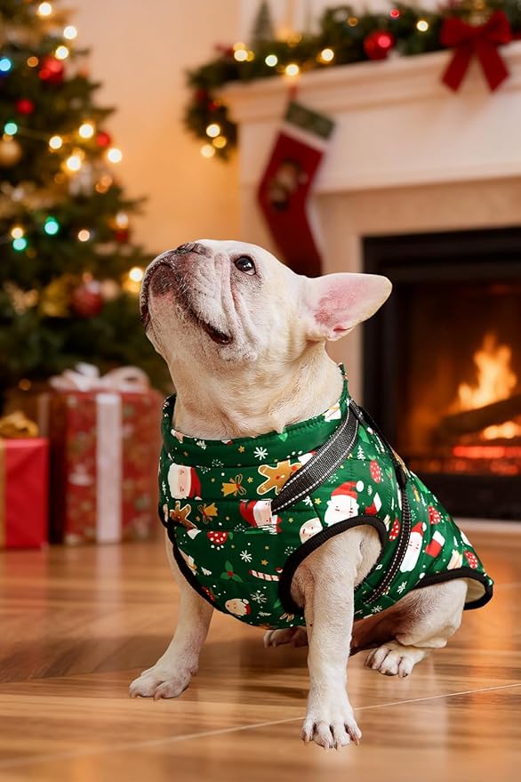 Aiboria Dog Jackets for Winter Windproof Waterproof Vest Fleece Warm Dogs Coat with Belt Christmas Green L