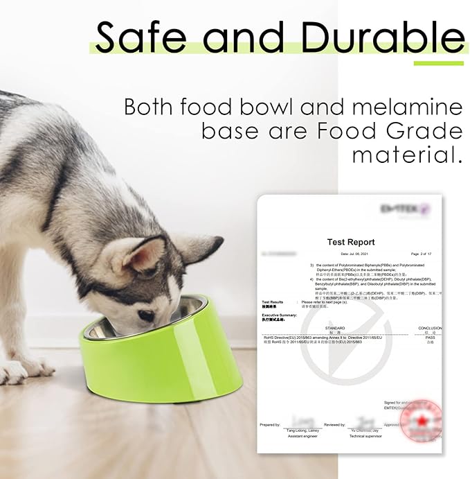 SuperDesign Mess Free 15° Slanted Bowl for Dogs and Cats, Tilted Angle Bulldog Bowl Dog Feeder, Non-Skid & Non-Spill, Easier to Reach Food L/2 Cup Green