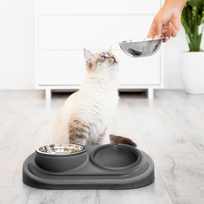 Ubbi Pet Feeding Bowls Set with Non-Slip Mat, Elevated & Flat Stainless Steel Dog or Cat Bowls, Ergonomic 15° Angled Feeder, Dishwasher Safe, Charcoal Gray