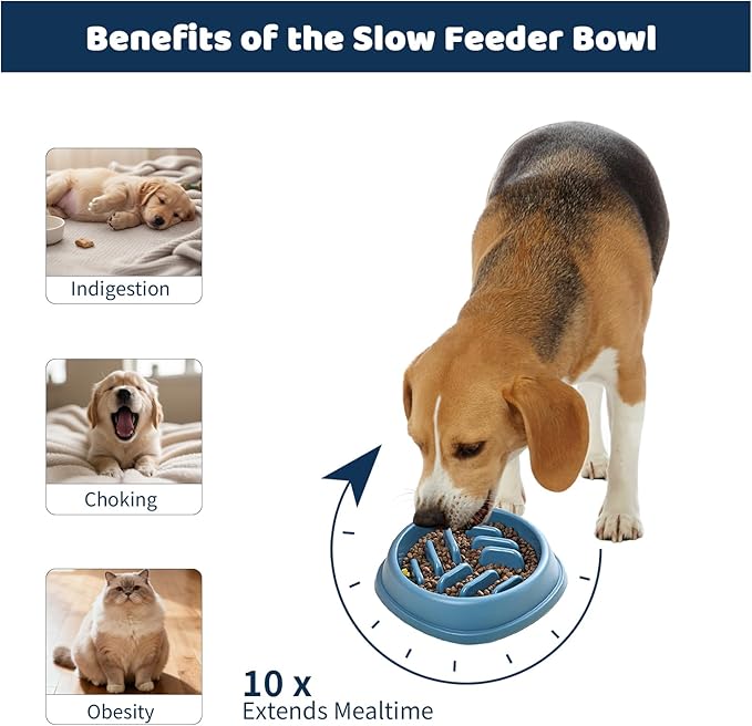 4PCS Slow Feeder Dog Bowl Set with Mat & Feeding Ball, Slow Feeding Dog Bowl to Slow Eating, Puppy Slow Feeder Bowl for Small Dogs, Dog Bowls with Slow Feeder, Easy Clean