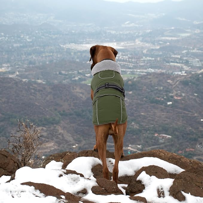 Lelepet Warm Dog Coat Reflective Fleece Vest Waterproof Dog Jacket with Adjustable Buckle Hook & Loop Windproof Cold Weather Coats for Small Medium Large Dogs, Army Green, M