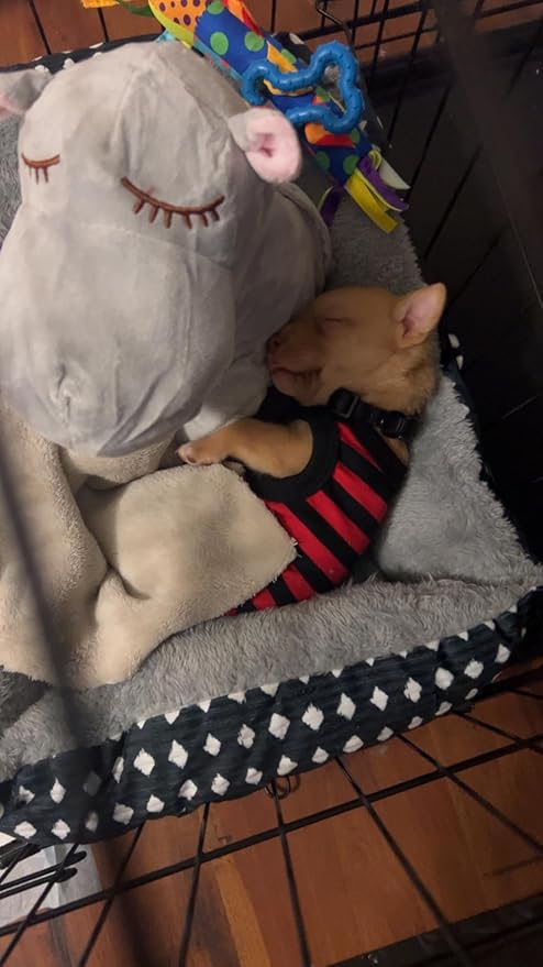 3T GROUP Heartbeat Puppy Toys for Dog Heartbeat Stuffed Animal Hippo Toy for Puppies Essentials Anxiety Relief Comfort Plush Pillow Calming Puppy Toys(Gray)