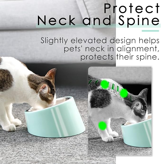 SuperDesign Mess Free 15° Slanted Bowl for Dogs and Cats, Tilted Angle Bulldog Bowl Dog Feeder, Non-Skid & Non-Spill, Easier to Reach Food S/0.5 Cup Teal