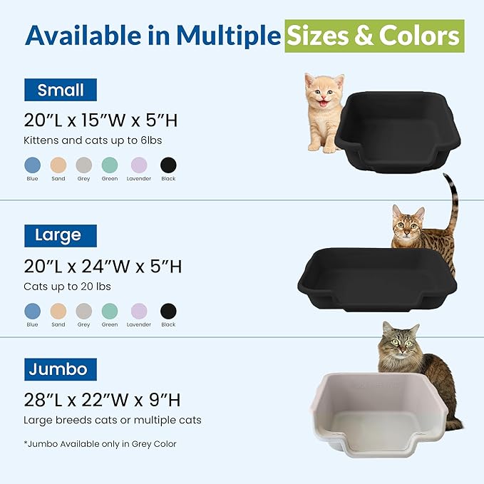 KittyGoHere Senior Cat Litter Box, Small Litter pan with Long-Handle Jumbo Scoop, Open Top Low Entrance Kitty Litters Box, Lightweight Low Entry Litter Box, Durable, Made in USA (2 Pack - Black)