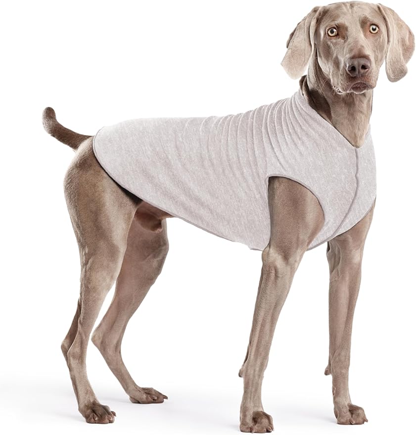 Goldpaw Dog Sun Shirt with UV Protection - Lightweight, Cooling Sun Protection Clothing for Dogs - Reduce Heat Absorption - Pet Clothes Made in The USA - Machine Washable - Pebble - Size 22