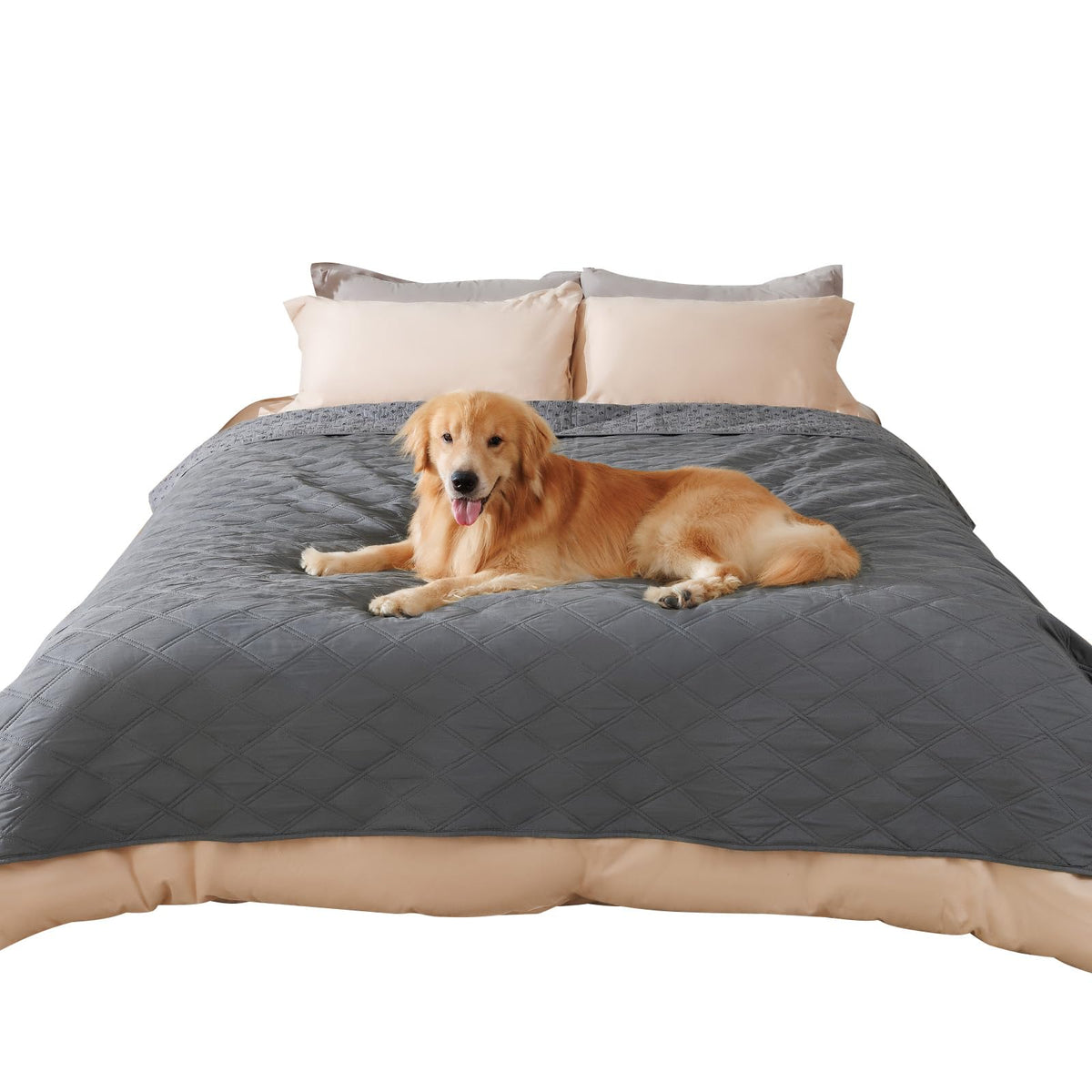 Luciphia Waterproof Couch Cover for Dogs, Non-Slip P | Pet Essentials - Image 1