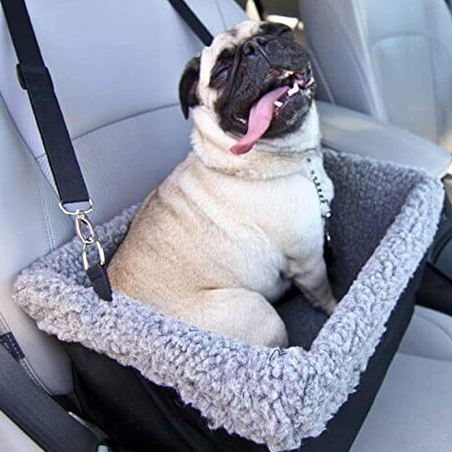 Dog Car Booster Seat — Padded, Collapsible, Up to 15lbs