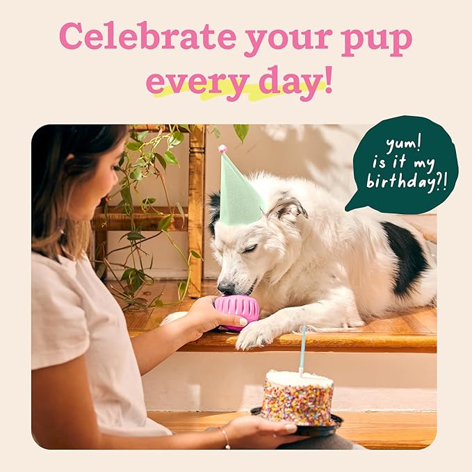 WOOF Party Pupsicle - Long-Lasting Interactive Dog Toys for Boredom - Low-Mess Design - Birthday Gifts for Dogs - Large Dog Toys - Party Pink