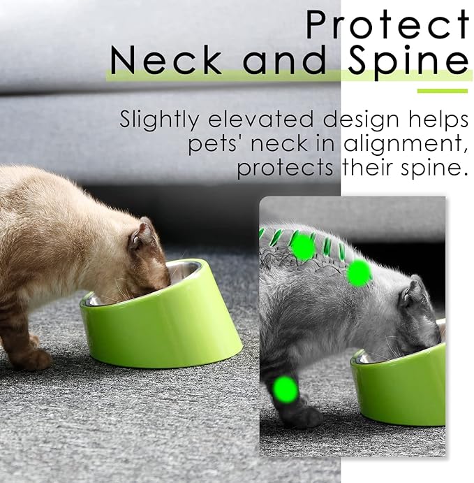 SuperDesign Small Tilted Dog Bowl for Flat-Faced Breeds, Slanted Bulldog Feeder with 2 oz / 0.5 Cup Capacity, 15° Angled Feeding Bowl for Puppies, Cats & Small Dogs, Green