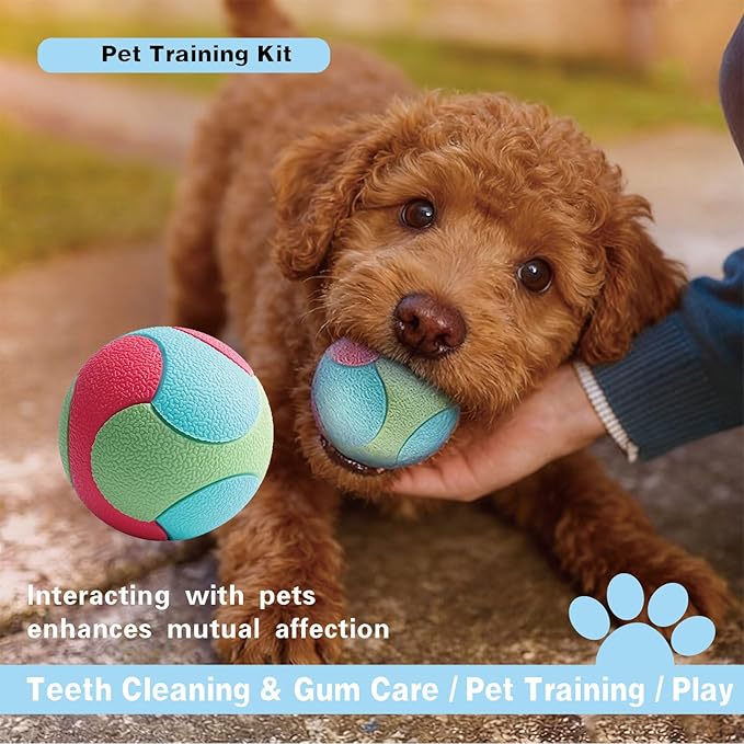 Dog Training Treat Pouch with Water Bottle Pouch – Includes Dual-purposeTraining Disc and Durable Chewable Bounce Ball,Features 3 Convenient Wearing Styles for Dog Walking,Outdoor and Training
