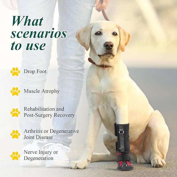 Strap-On Drop Foot Brace (No Knuckling Boot Brace) for Dogs— Corrective Dog Shoes to Safely Lift Toes for Foot Issues, Arthritis, and improving Walking gait in Dogs(S)