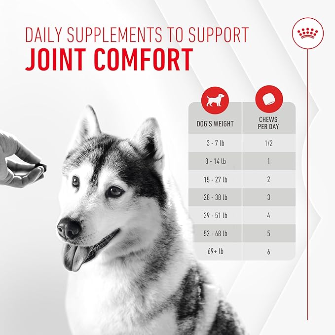 Royal Canin Joint Dog Supplement Soft Chews for Adult Dogs, 60 Count (Pack of 2)