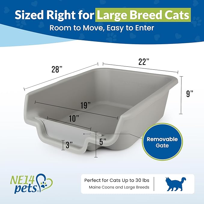 KittyGoHere Senior Cat Litter Box, Jumbo Litter pan with Long-Handle Jumbo Scoop, Open Top Low Entrance Kitty Litter Box, Lightweight Low Entry Litters Box, Durable, Made in USA (Misty Gray)