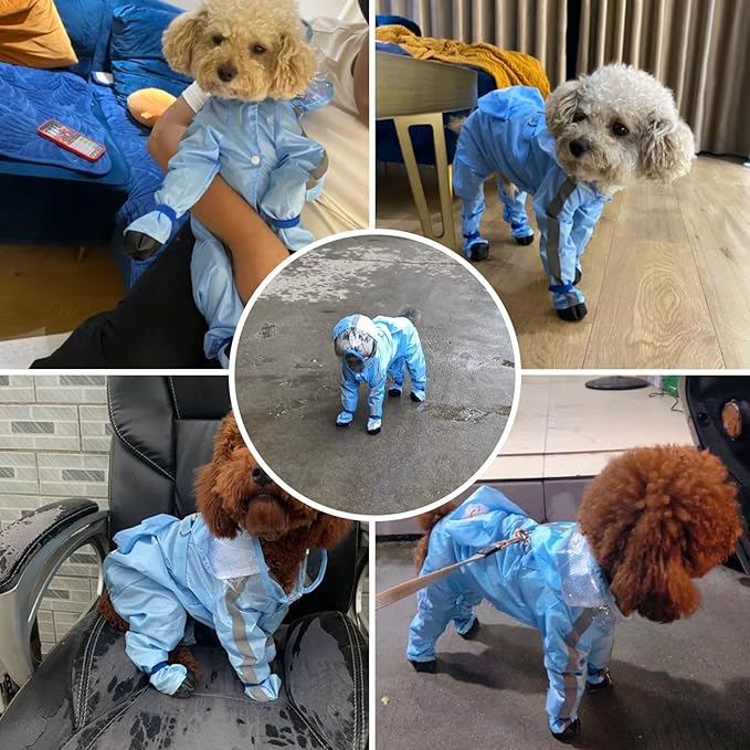 Full Coverage Small Dog Raincoat, Waterproof with Four-Leg Protection, Ideal for Teddy Bears, Includes Waterproof Mini Backpack (Yellow, X-Large(Suggest Weight 13.2-16.6lb))