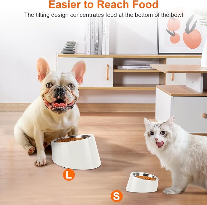 Tilted Dog Bowl Non-Slip & Non-Spill Pet Feeder with Elevated Detachable Melamine Stand, Easy to Get Food Dog Dish, S/100ml White