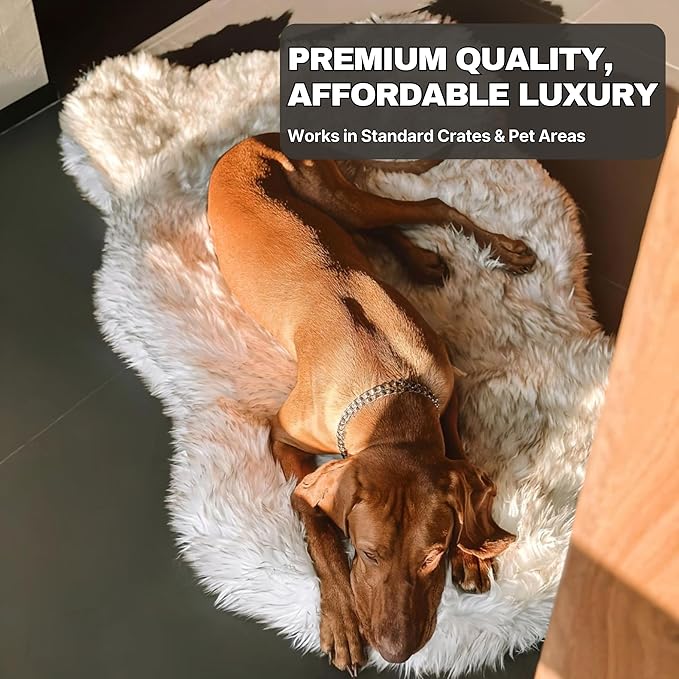IHAPPYDOG Luxury Faux Fur Orthopedic Dog Bed, Memory Foam Dog Bed for Small, Medium, Large and XL Pets, Fluffy Pet Bed with Waterproof and Washable Cover (White w/Brown Tips, 60"x35")