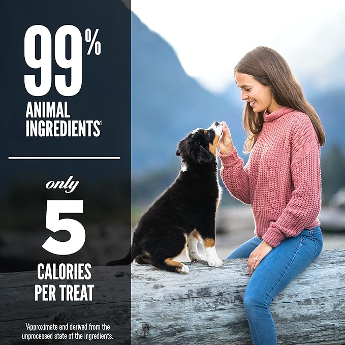 ORIJEN Grain Free High Protein Freeze Dried Dog Treats Ranch-Raised Beef Recipe 3.25oz Bag