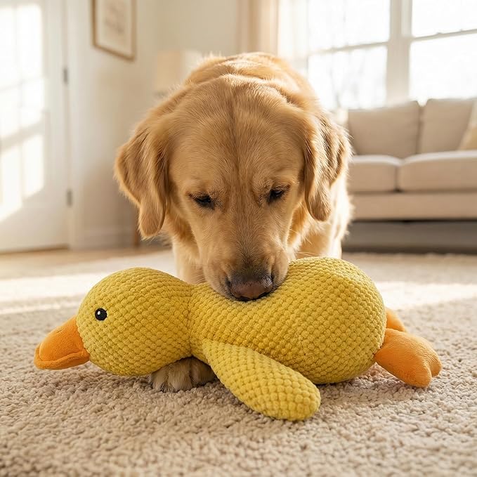JINTONE Squeaky Plush Duck Dog Toy for Anxiety Relief, Durable Chew Duck Toy for Large Breeds & Puppies, Interactive Calming Duck Toy with Squeaker for Boredom Relief, Non-Toxic & Pet-Safe
