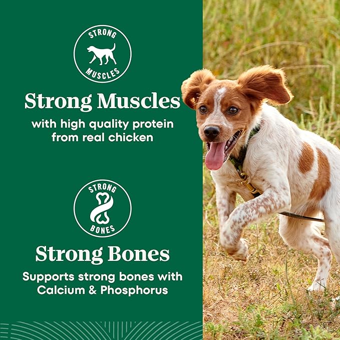 Nutro Natural Choice Small Breed Dog Food Dry, Chicken & Brown Rice Recipe, 5 lb. Bag