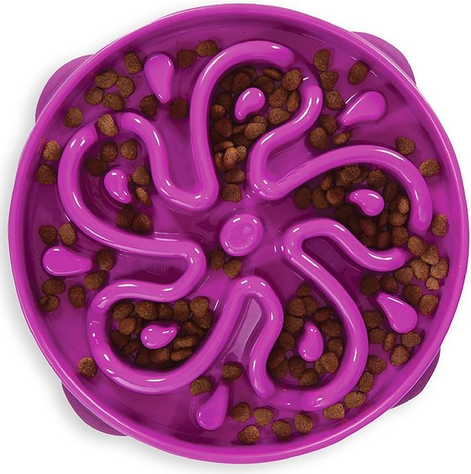 Outward Hound Slow Feeder Dog Bowl – Prevents Bloating & Fast Eating – Large 4 Cup Purple Flower