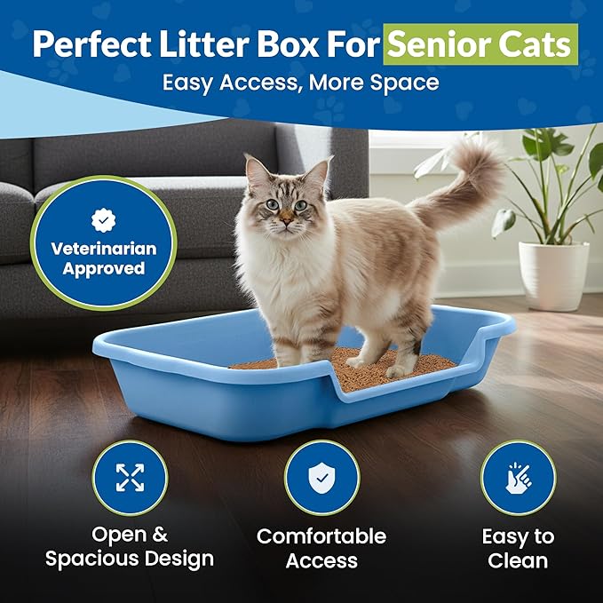 KittyGoHere Senior Cat Litter Box, Large Litter pan, Open Top Low Entrance Kitty Litter Box, Lightweight Low Entry Litters Box, Durable, Made in USA (2 Pack - Little Boy Blue)
