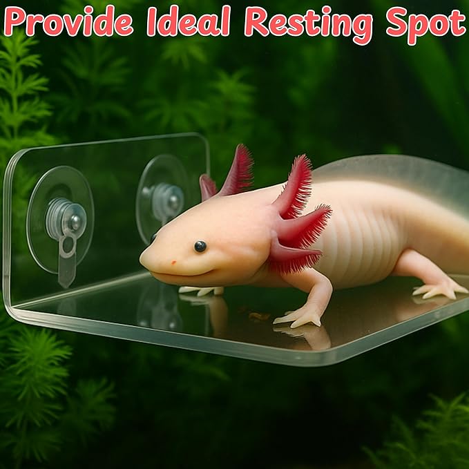Axolotl Hammock Ledge for Aquarium and Feeding Dish, Axolotl Hammock with Ceramic Tray Feeder Bowl, Axolotls Accessories for Tank, Bearded Dragon Tank Accessories (Blue, 7.8x3.9in)