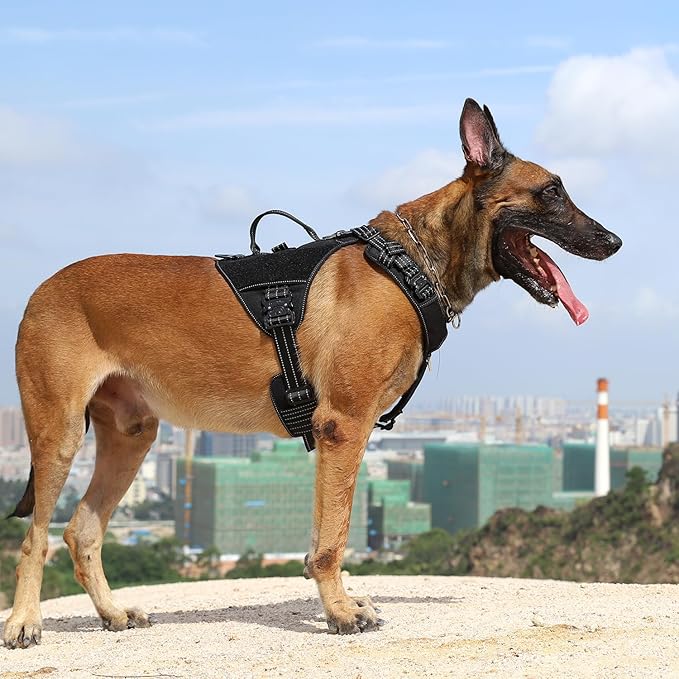 ICEFANG GN8 Tactical Dog Harness with 4X Metal Buckles for X-Large Sized Dogs,Reflective in Training Walking K9 Vest,No-Pull Front Leash Clip,Adjustable Pet Harness (Black, X-Large (Pack of 1))