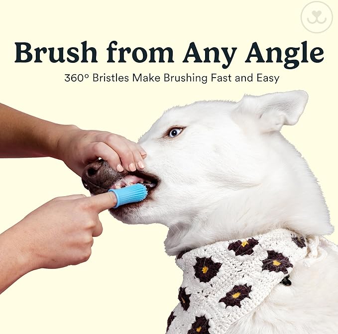 360° Pet Finger Toothbrush Kit — Dog & Cat Dental Care, 4-Pack (Blue)