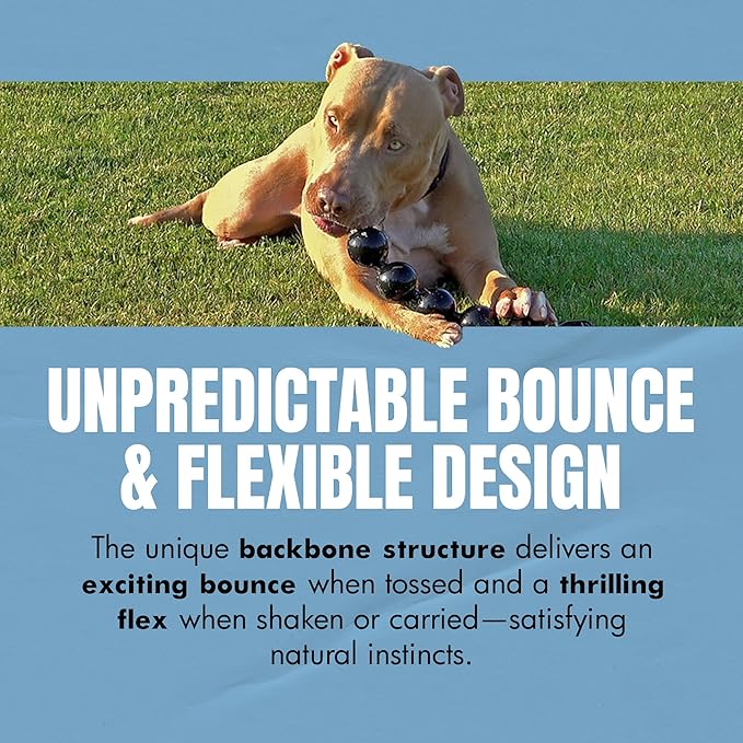 Vigor Interactive Dog Toy – Weighted & Flexible for Shake and Fetch Play – 1.5 lb (24 oz)