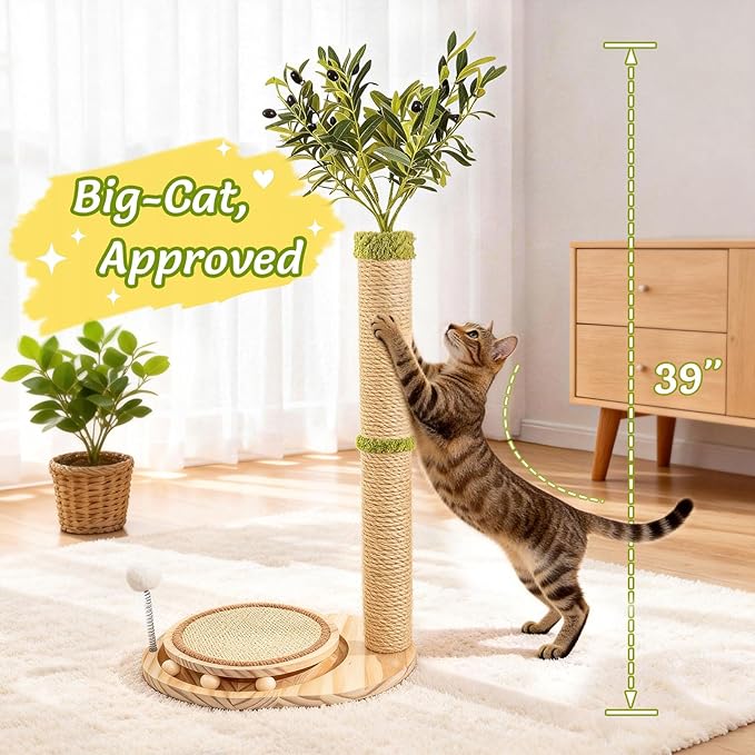 39" Tall Cat Scratching Post, Cute Olive Cat Scratcher, Interactive Cat Toys with Ball Track & Spring Ball, Sturdy Cat Scratch Post with Pad for Indoor Cats Adults and Kittens