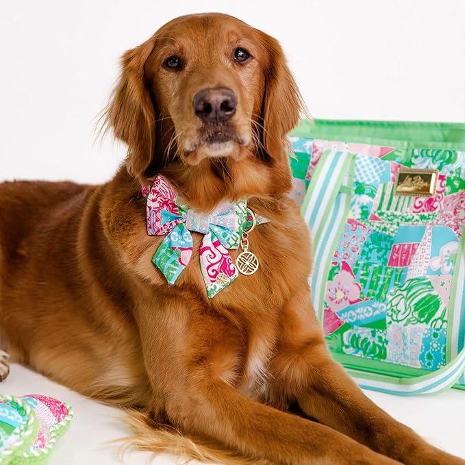 Lilly Pulitzer Pet Bow, Dog Bow Tie with Gold Logo Emblem, Elastic Collar Attachment, Durable Polyester, Easy to Clean, Stylish Pet Accessory (Crazy Quilt Home)
