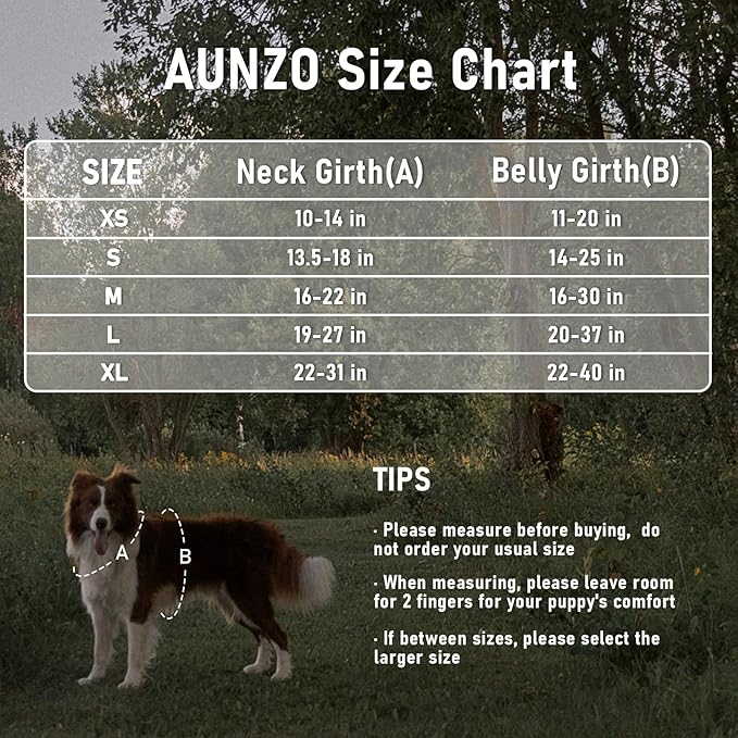 No Pull Dog Harness for Large Dogs with 2 Metal Clips, Easy On/Off with Neck Buckle, Heavy Duty Adjustable Tactical Puppy Vest, Breathable Pet Harness with Easy Control Handle, Gray L