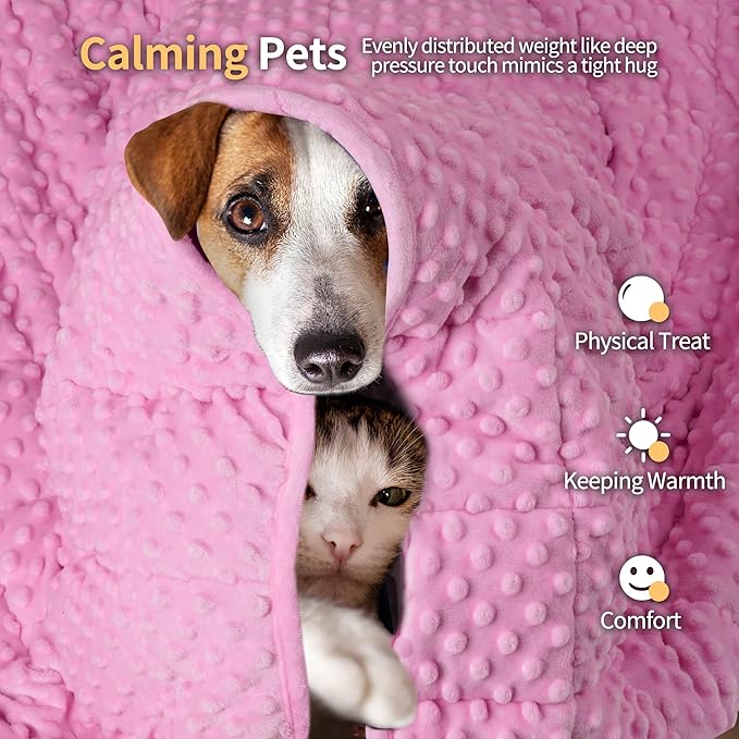 LaSyL Weighted Blanket for Pets | Thunder Blanket for Dogs Anxiety | Premium Soft Minky | Relaxation & Calming & Anti Anxiety | Used in Car, Bed, Couch | Pink, Washable Small (24"x32")