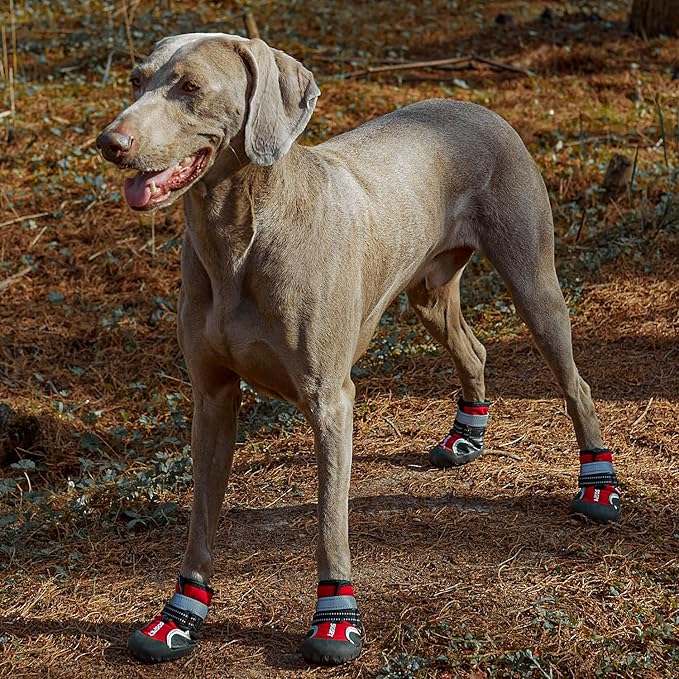 Dog Shoes, 4 PCS Dogs Booties Hot Pavement, Waterproof Non-Slip with Reflective Strips, Large Medium Small Puppy Paw Protector for Walking
