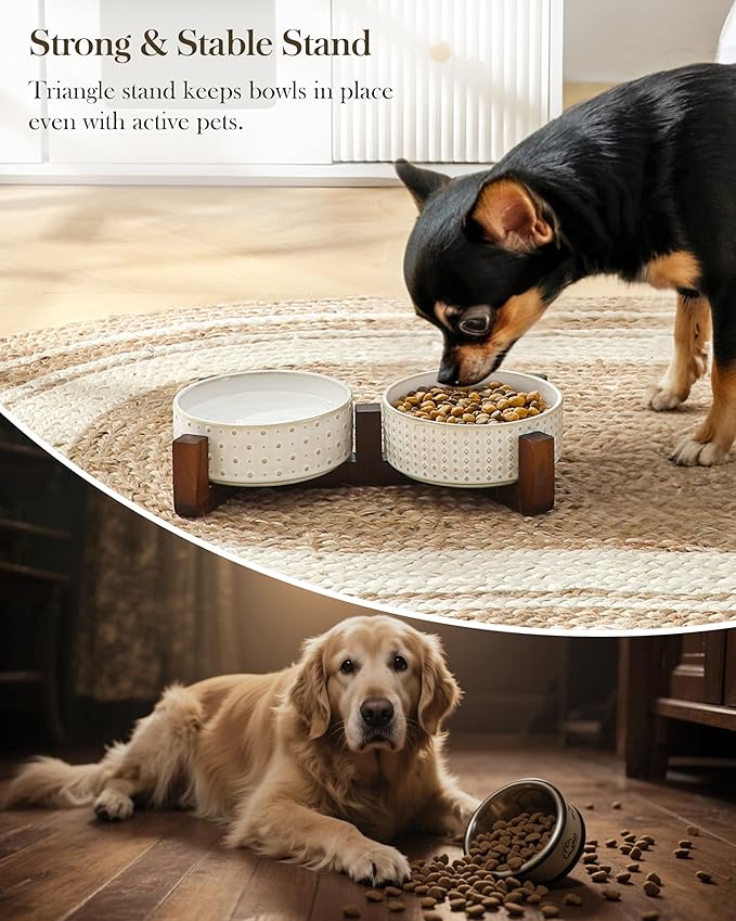 MALACASA Dog Bowl Set with Walnut Wood Stand, 1.5 Cups Ceramic Pet Bowls for Puppy Dogs, Dual Food and Water Bowls with Weighted Non-Slip Base, Basic Bowls for Your Dog or Cat, Rhombic & Polka Dots