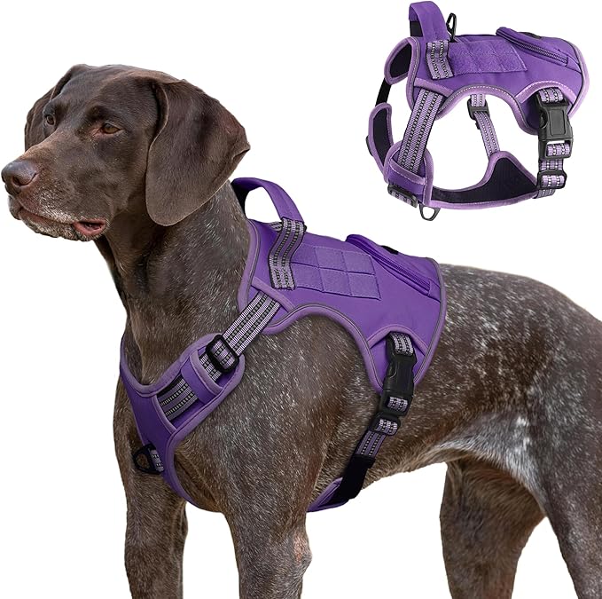 Tactical Dog Harness for Large Dogs, Heavy Duty No Pull Military Service Vest with Control Handle & 4 Patches, Adjustable Reflective Soft Padded Pet Harness for Training Walking Hiking (Purple, S)