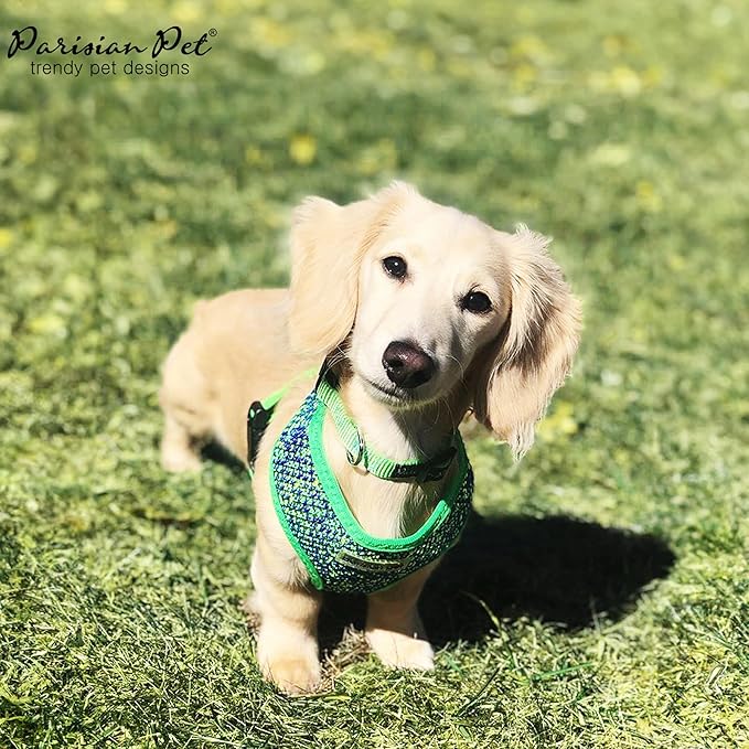 Parisian Pet Soft Padded Green/Blue Adjustable No Pull Puppy Harness - Cooling Dog Harness for Walking, Running, and Hiking - Large Size