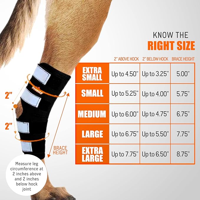 NeoAlly® - Rear Leg Hock Brace, Dog Leg Brace for Rear Leg, Hock & Ankle Support for Hind Legs, Dog Brace for Torn Acl and Ccl, Long Version, X-Small, 1 Pair