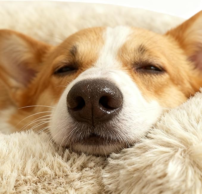 Calming Dog Bed for Small Medium Dogs, Anti-Anxiety Donut Washable Puppy Bed Orthopedic Cushion, Soft Fluffy Faux Fur Plush Warming Cozy Cat Bed, Fits up to 25 lbs Pets (Round, Beige 23")