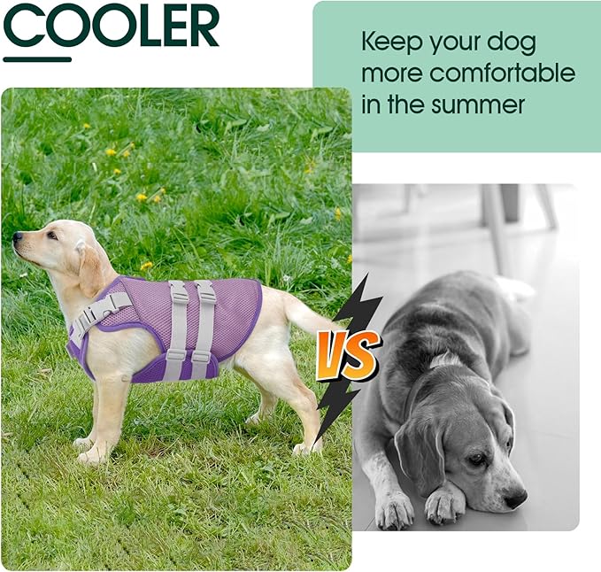 Kuoser Cooling Vest for Dogs, Small Dog Cooler Jacket Puppy Shirt with Reflective Stripe Summer Pet Harness for Outdoor Beach, Hiking, Walking Purple S