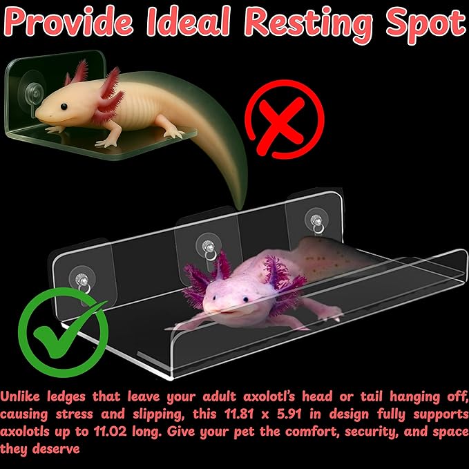 Axolotl Hammock Ledge for Aquarium Tank Accessories and Feeding Dish, Axolotl Hammock with Ceramic Tray Feeder Bowl, Axolotls Accessories for Tank, Bearded Dragon Reptiles Supplies (Pink, 12x6 in)