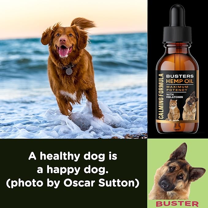 Busters 2Pack Calming Hemp Oil for Dogs, Cats, Infused with MELATONIN, Sleep Support, Soothing, Natural Relief, Ideal Omega Ratio, Adrenal Support (Calming Formula 2-Pack)