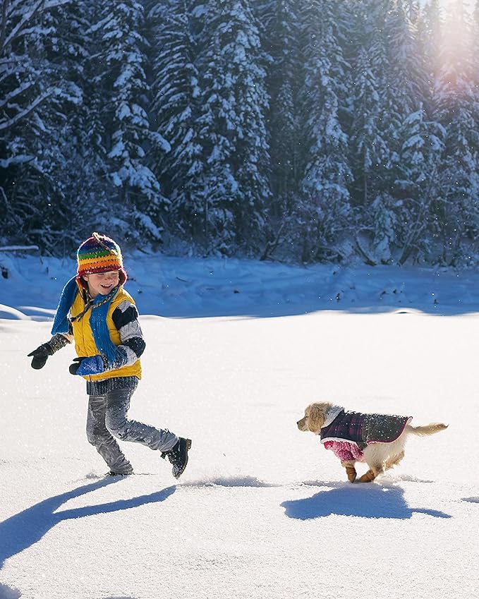 Winter Dog Boots & Paw Protectors: Outdoor Anti-Slip Dog Snow Shoes, Dog Booties Provide Warmth to Dogs Paws from Ice and Snow, Rubber Sole PU Leather Faux Fleece-Lined, Light Brown Dog Shoes Size 6